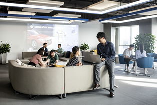 數(shù)字化與生物技術(shù)雙輪驅(qū)動，領(lǐng)悅數(shù)字信息技術(shù)掛牌助力華晨寶馬以客戶為中心戰(zhàn)略加速轉(zhuǎn)型