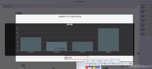 基于Django與Vue的停車場(chǎng)管理系統(tǒng) 計(jì)算機(jī)畢業(yè)設(shè)計(jì)代理代辦服務(wù)